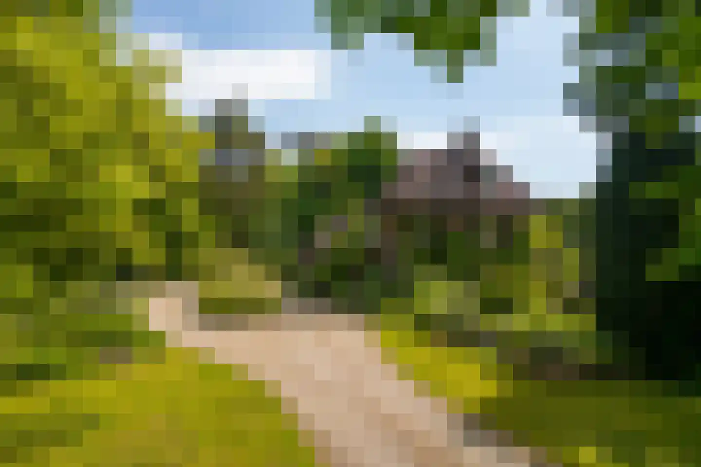 Wildenborchseweg 11 Vorden foto 2