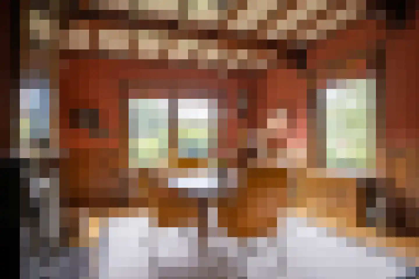 Wildenborchseweg 11 Vorden thumbnail 22