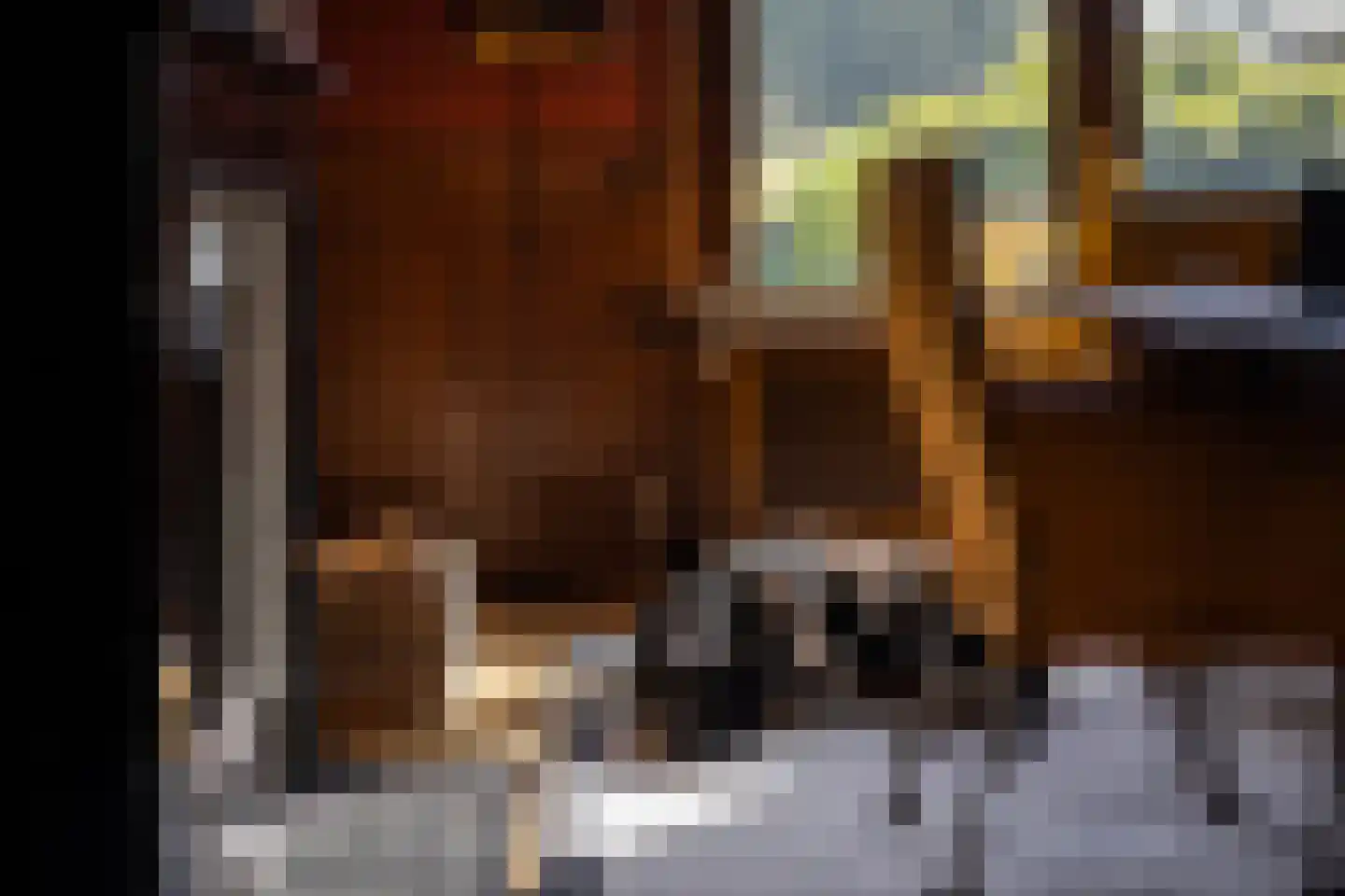 Wildenborchseweg 11 Vorden thumbnail 23