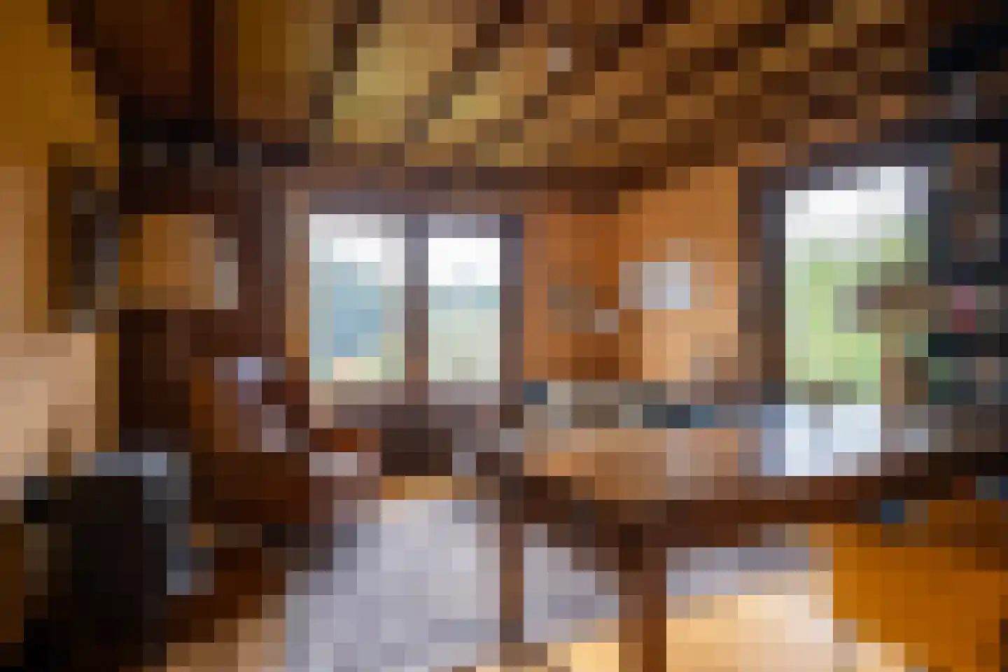 Wildenborchseweg 11 Vorden thumbnail 26