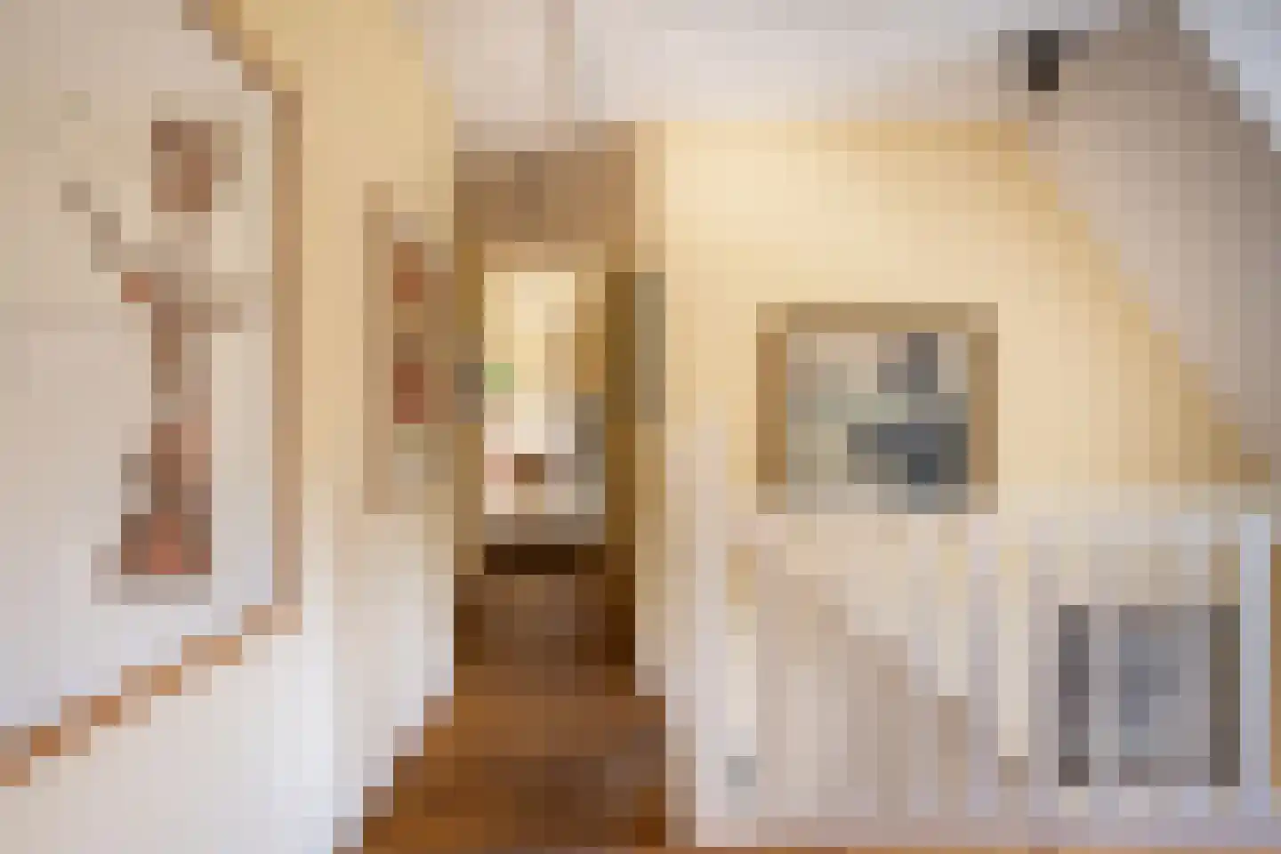 Wildenborchseweg 11 Vorden thumbnail 30