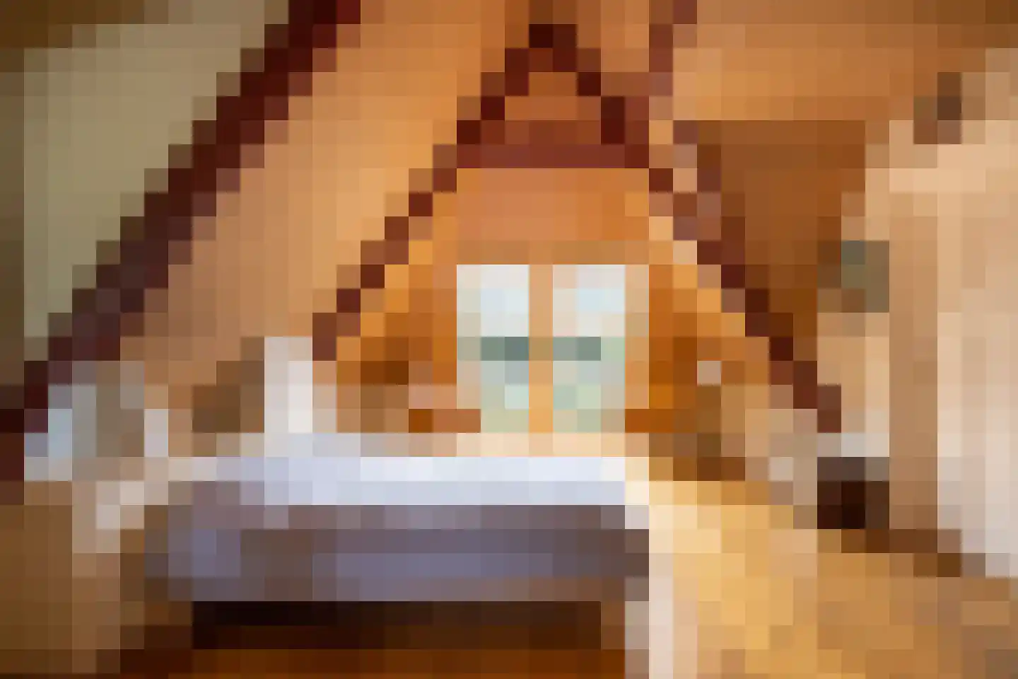 Wildenborchseweg 11 Vorden thumbnail 31