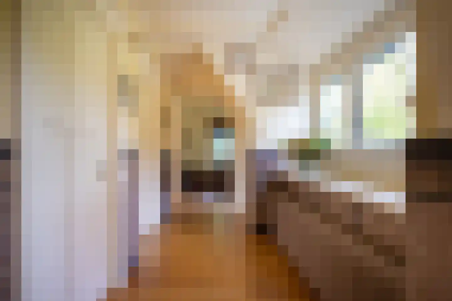 Wildenborchseweg 11 Vorden thumbnail 35