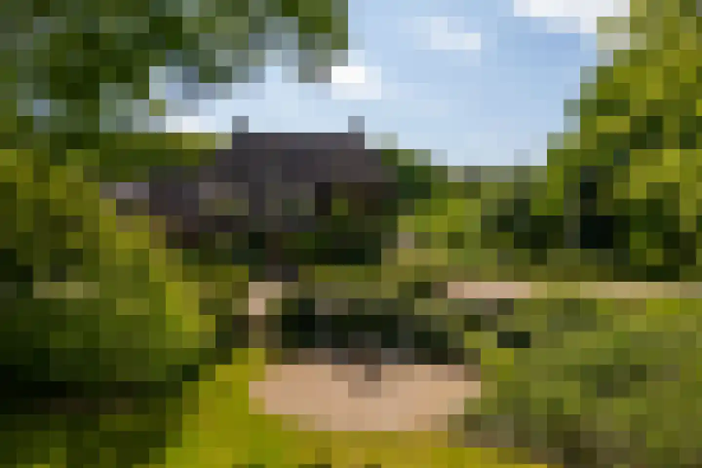 Wildenborchseweg 11 Vorden thumbnail 38