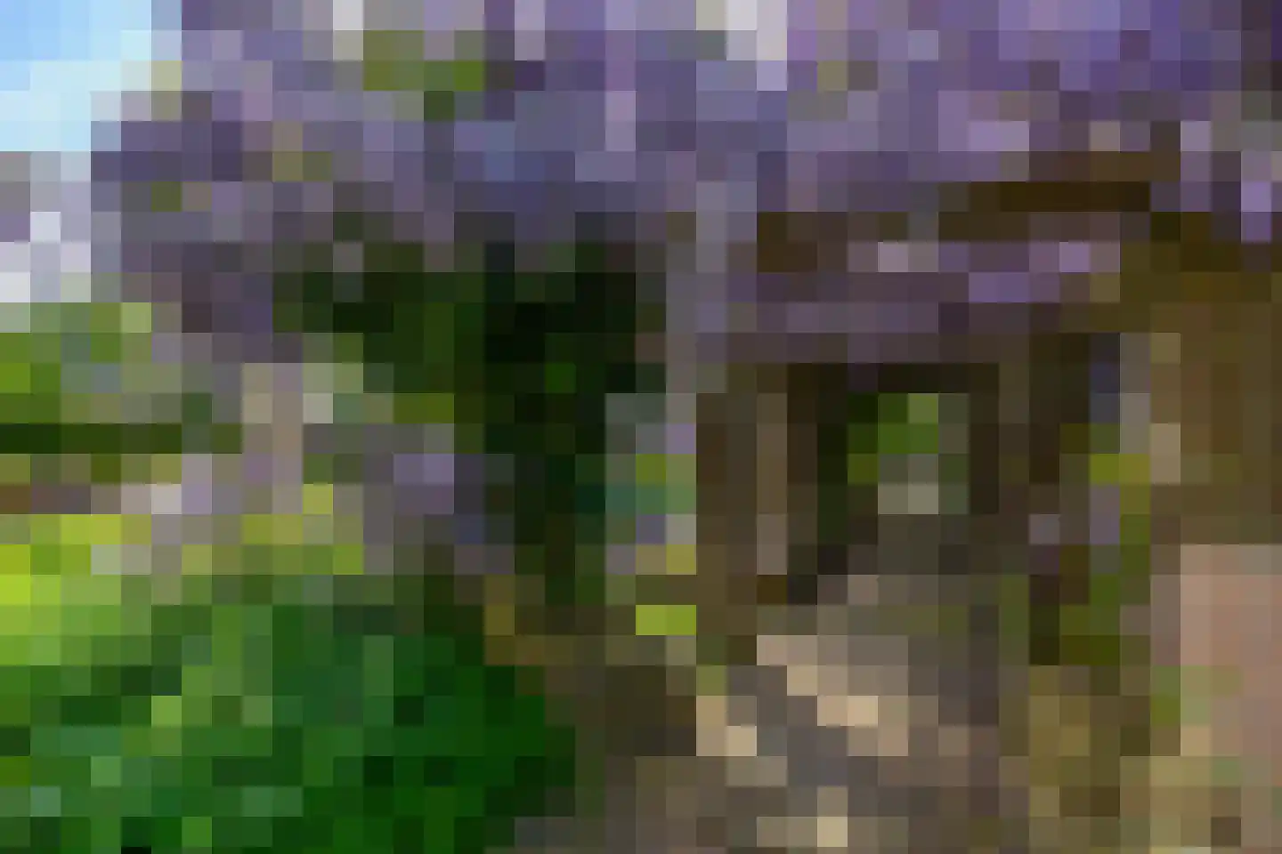 Wildenborchseweg 11 Vorden thumbnail 40