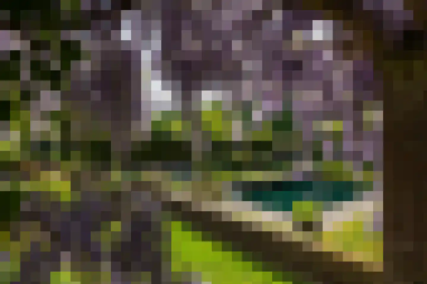 Wildenborchseweg 11 Vorden thumbnail 41