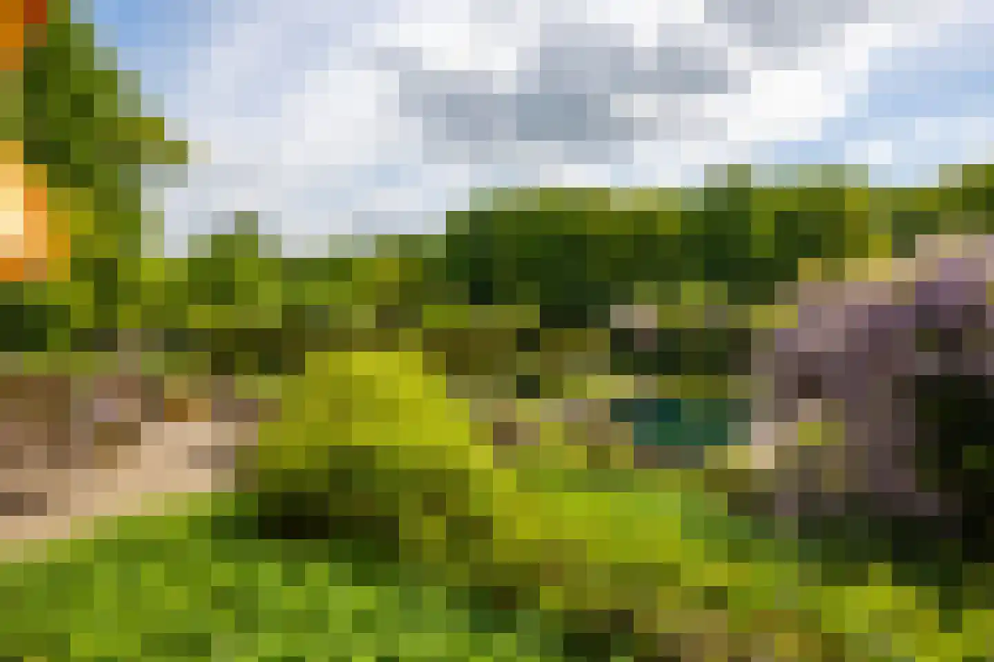 Wildenborchseweg 11 Vorden thumbnail 43