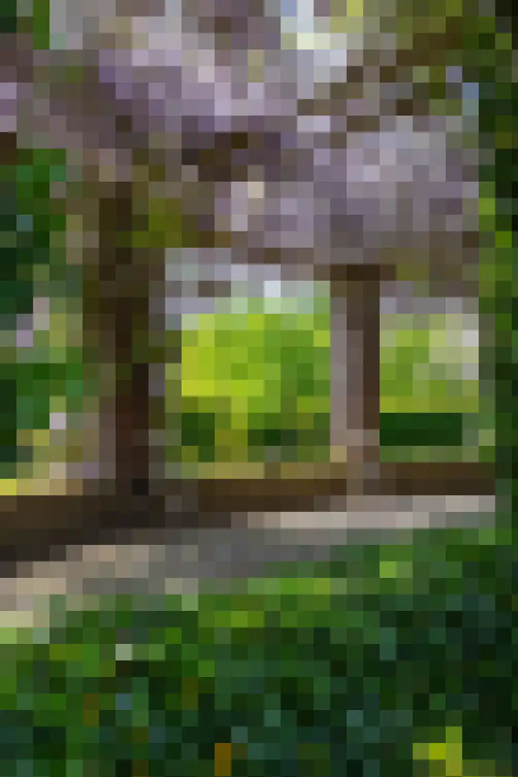 Wildenborchseweg 11 Vorden thumbnail 44