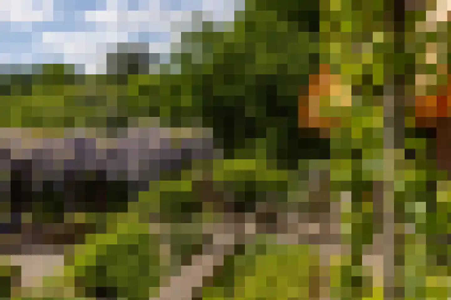 Wildenborchseweg 11 Vorden thumbnail 45
