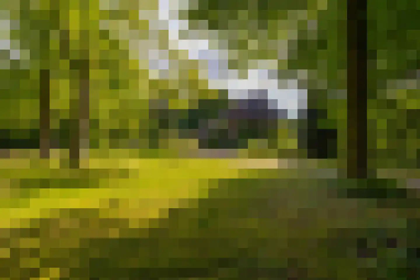 Wildenborchseweg 11 Vorden thumbnail 48