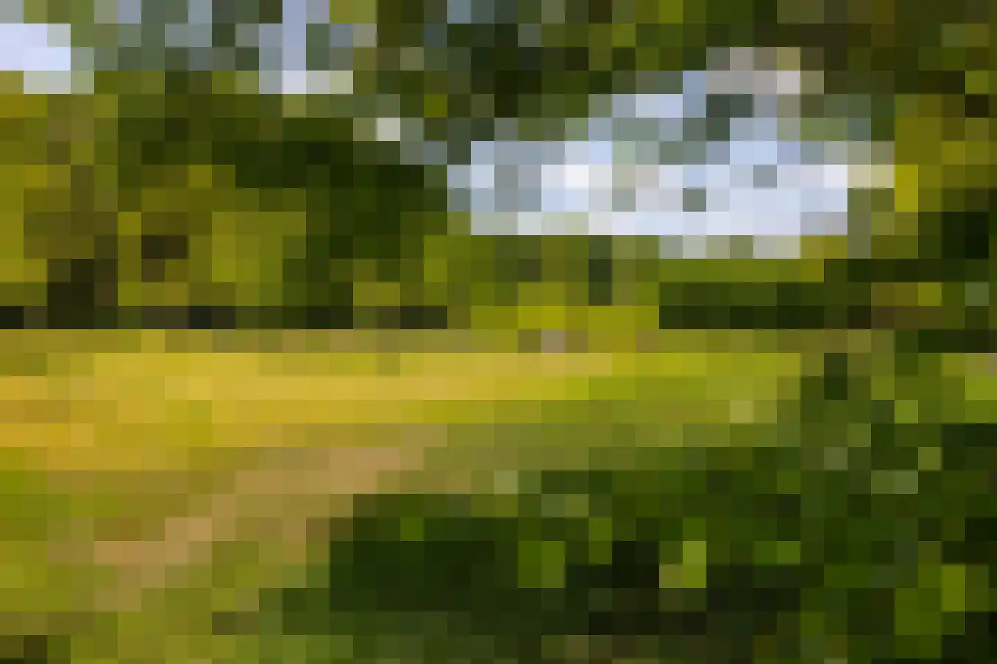 Wildenborchseweg 11 Vorden thumbnail 49