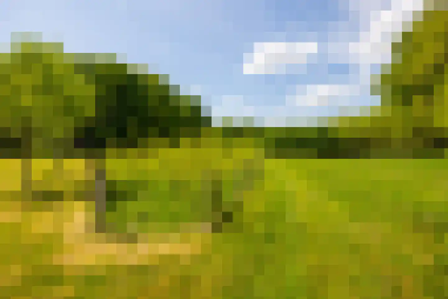 Wildenborchseweg 11 Vorden thumbnail 50