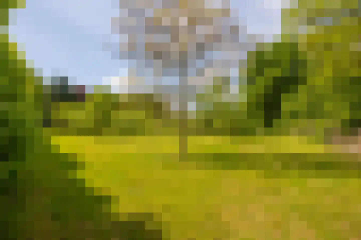 Wildenborchseweg 11 Vorden thumbnail 52