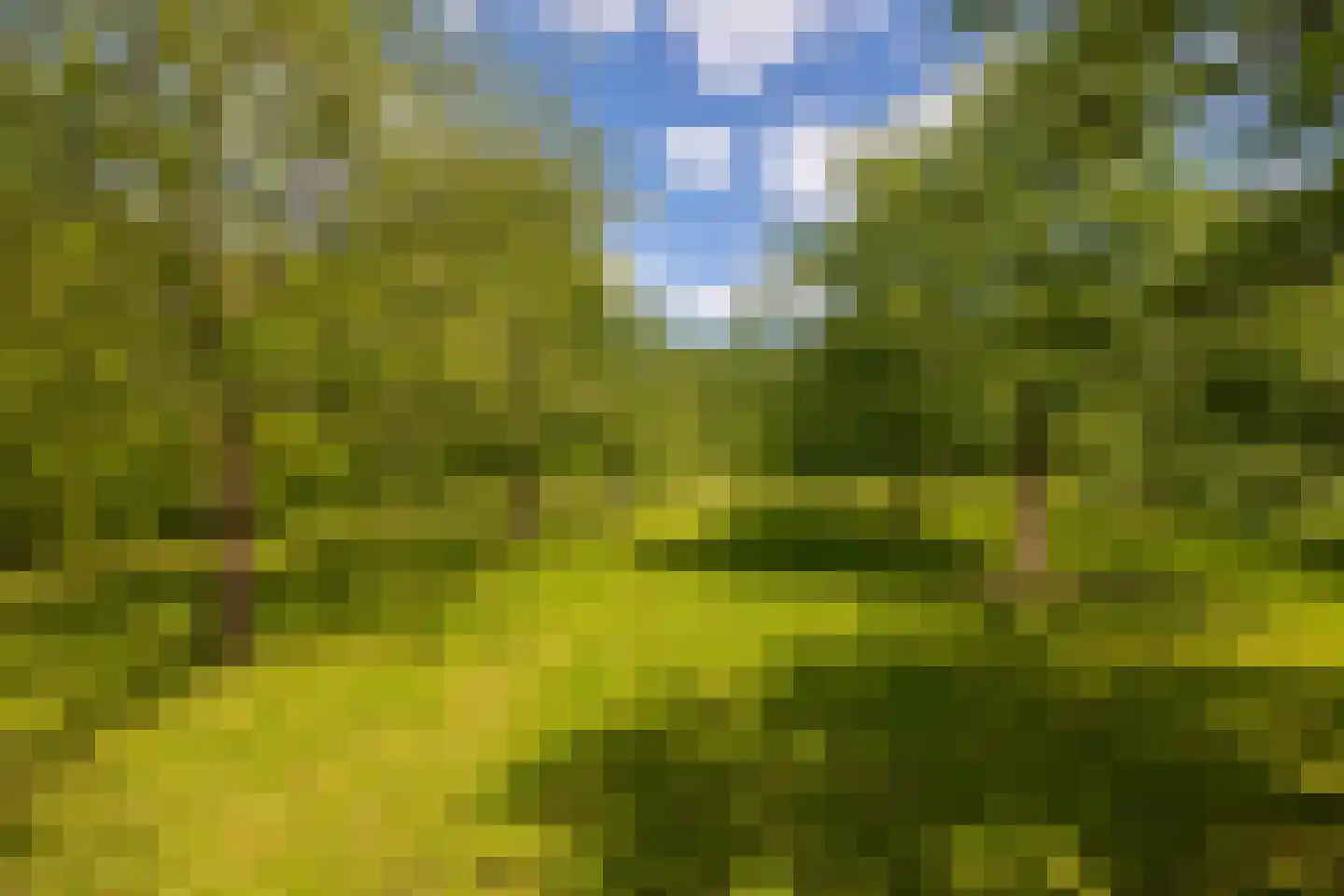 Wildenborchseweg 11 Vorden thumbnail 53