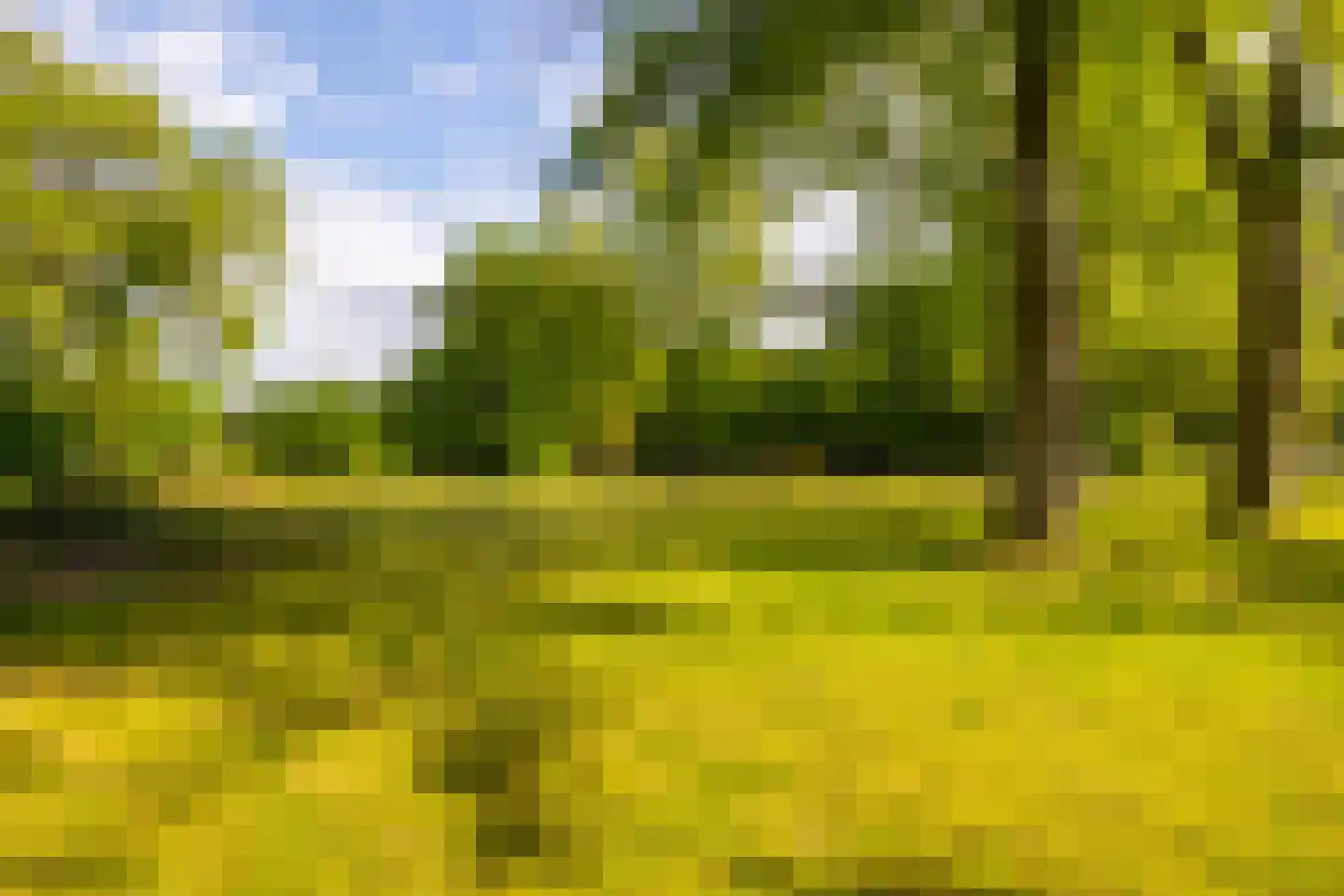 Wildenborchseweg 11 Vorden thumbnail 54