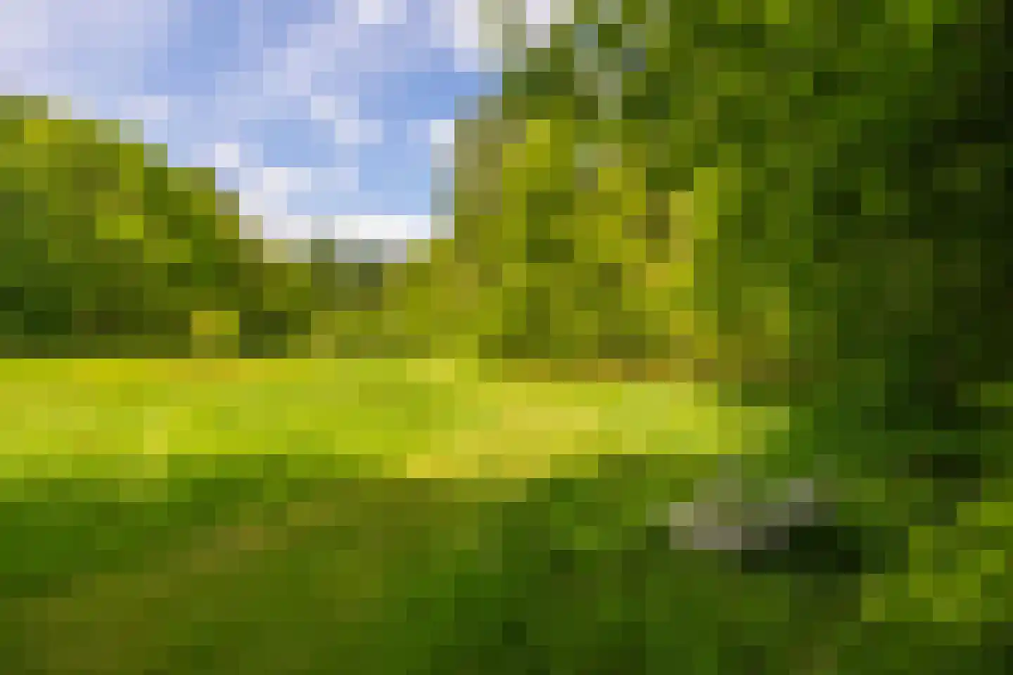 Wildenborchseweg 11 Vorden thumbnail 55