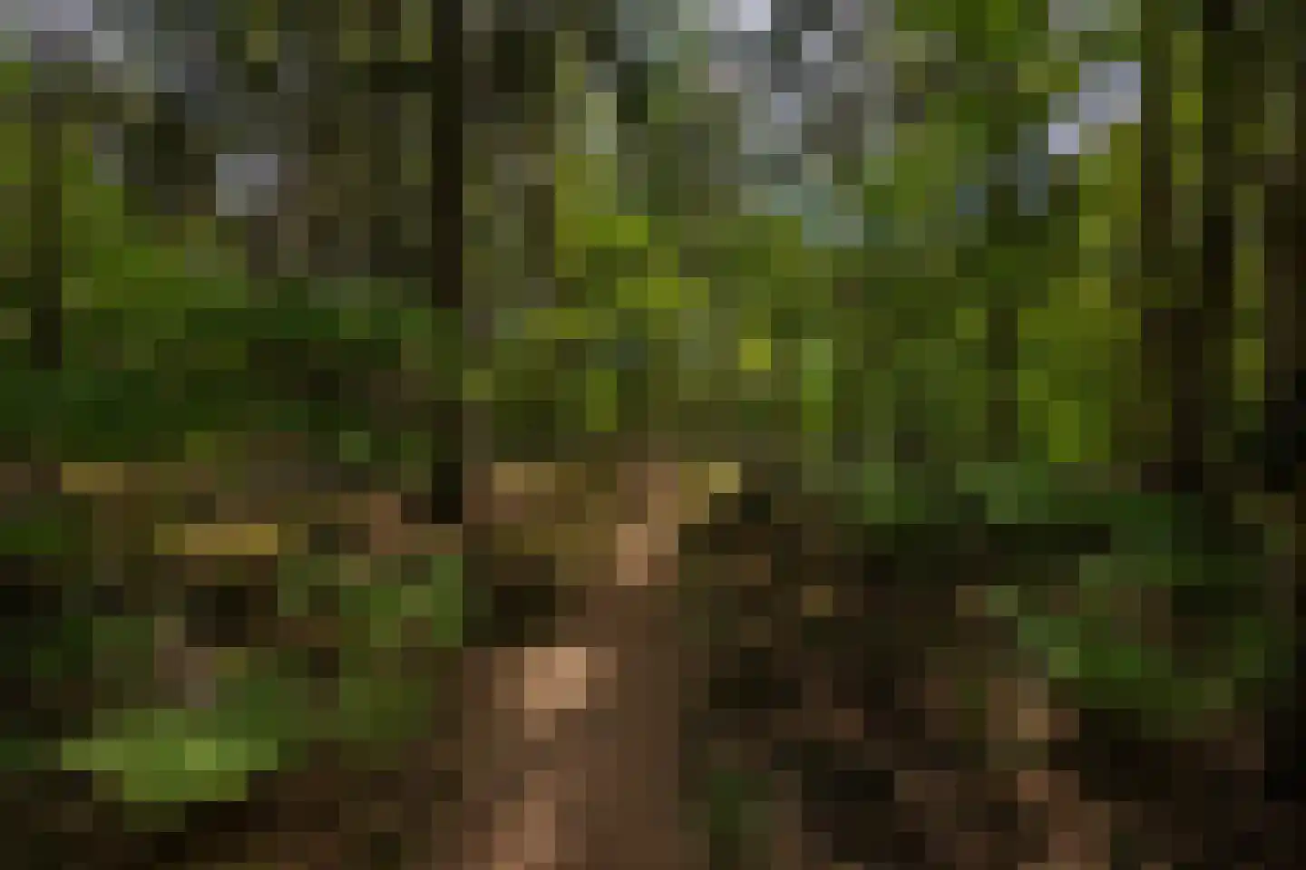 Wildenborchseweg 11 Vorden thumbnail 56