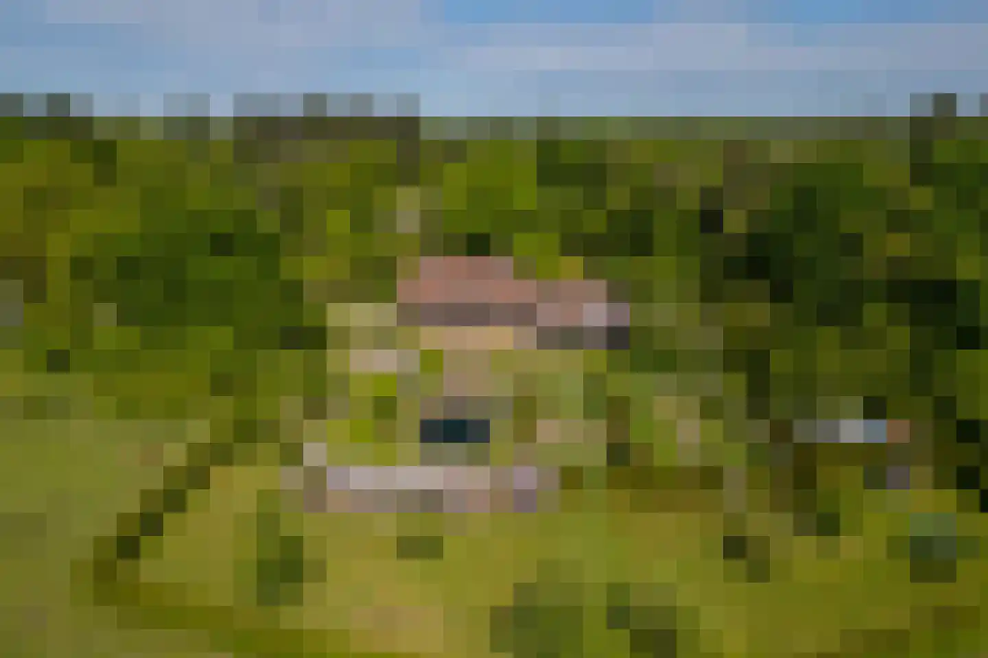 Wildenborchseweg 11 Vorden thumbnail 57