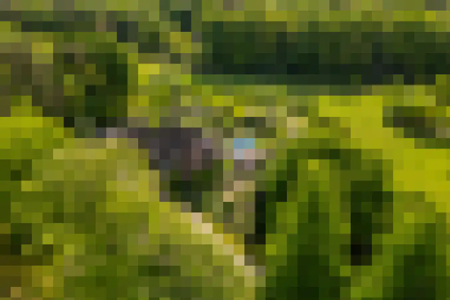 Wildenborchseweg 11 Vorden thumbnail 58