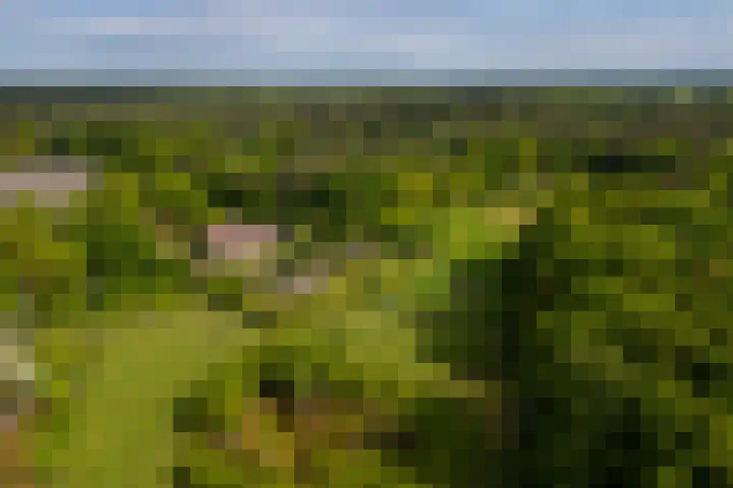 Wildenborchseweg 11 Vorden thumbnail 59