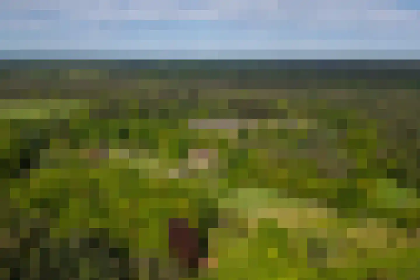 Wildenborchseweg 11 Vorden thumbnail 60