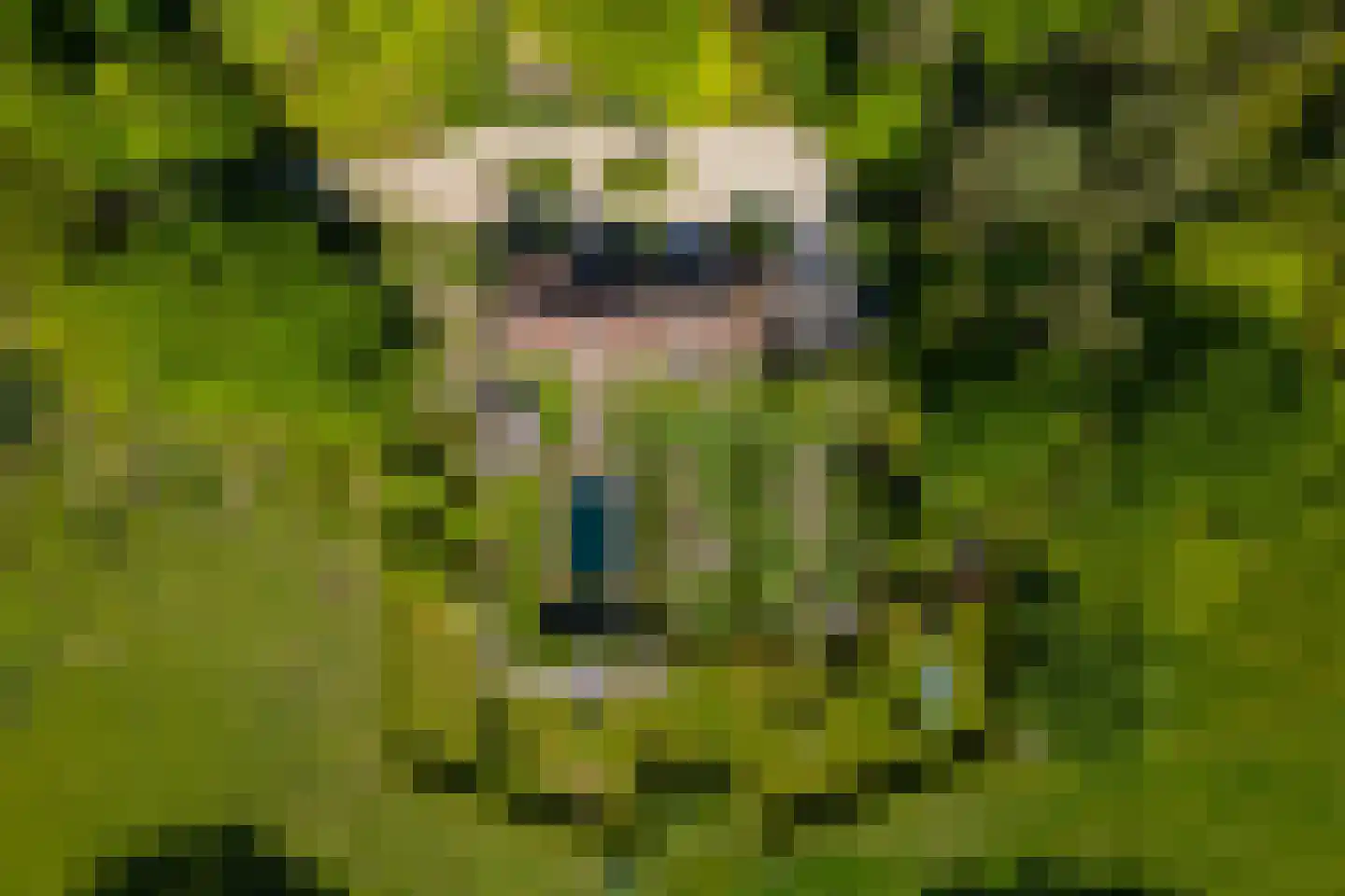 Wildenborchseweg 11 Vorden thumbnail 61