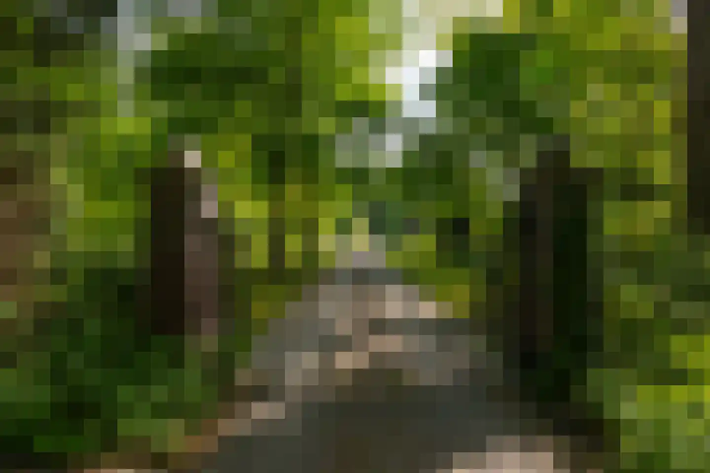Wildenborchseweg 11 Vorden thumbnail 62