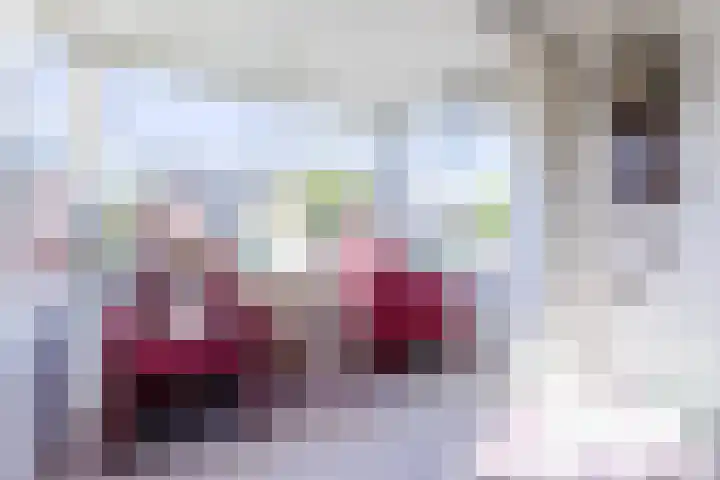 Wildenborchseweg 27 Ruurlo thumbnail 12