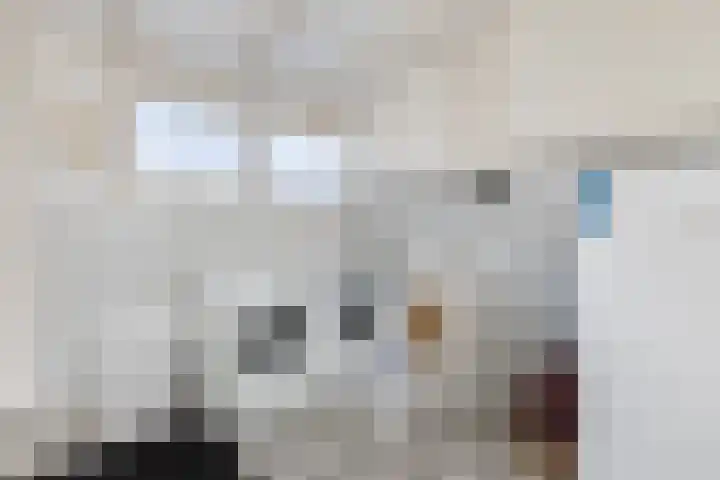 Wildenborchseweg 27 Ruurlo thumbnail 17