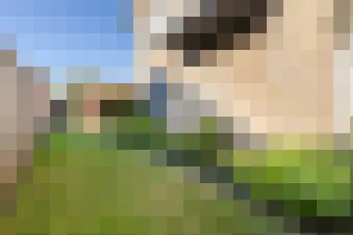 Wildenborchseweg 27 Ruurlo thumbnail 28