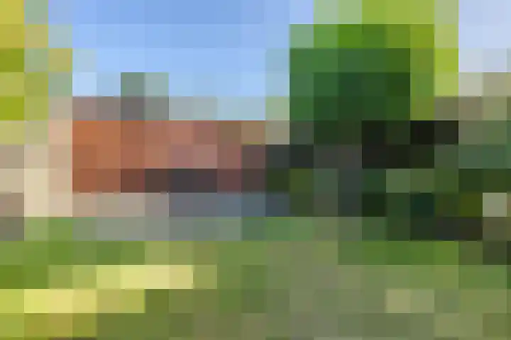 Wildenborchseweg 27 Ruurlo thumbnail 32