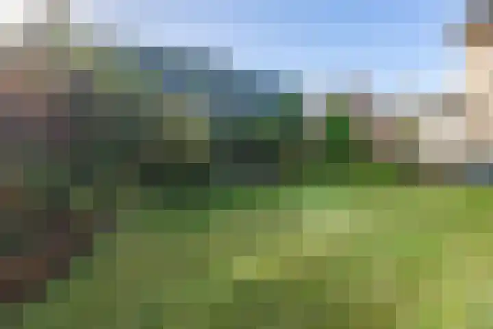 Wildenborchseweg 27 Ruurlo thumbnail 33