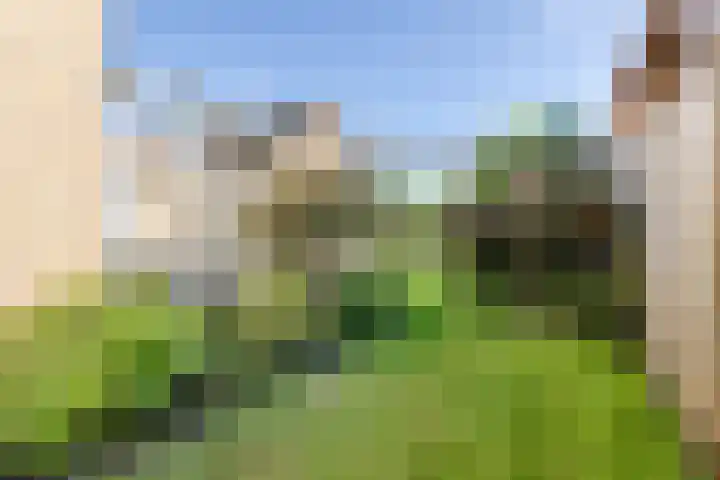 Wildenborchseweg 27 Ruurlo thumbnail 34