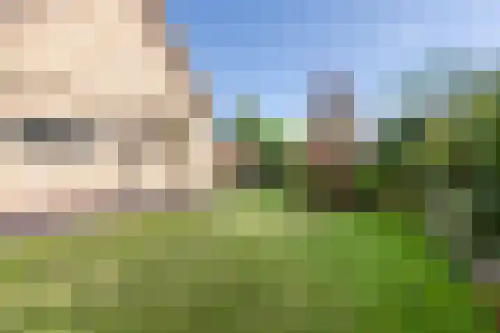 Wildenborchseweg 27 Ruurlo thumbnail 35