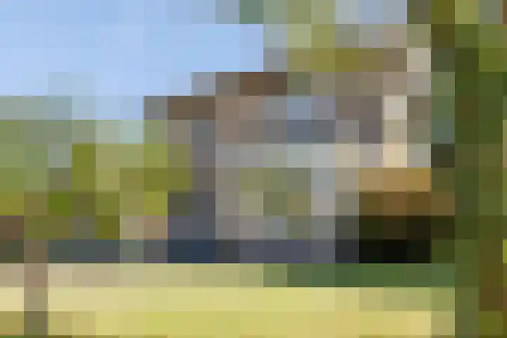 Wildenborchseweg 27 Ruurlo thumbnail 38