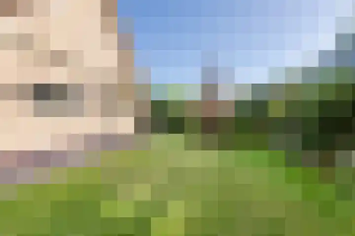 Wildenborchseweg 27 Ruurlo thumbnail 6