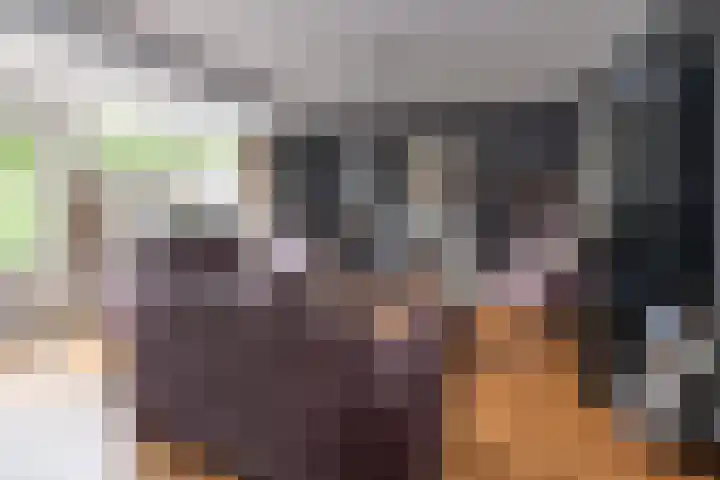 Wildenborg 23 Barneveld thumbnail 10
