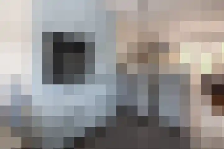 Wildenborg 23 Barneveld thumbnail 15