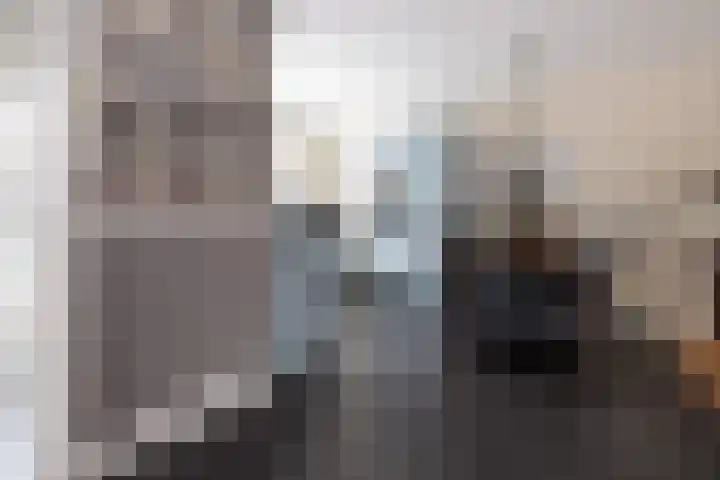 Wildenborg 23 Barneveld thumbnail 18