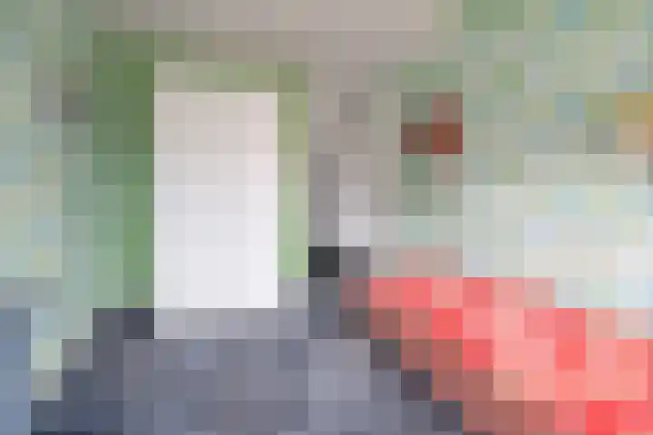 Wildenborg 23 Barneveld thumbnail 23