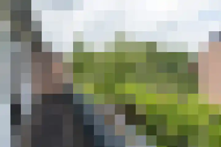 Wildenborg 23 Barneveld thumbnail 24