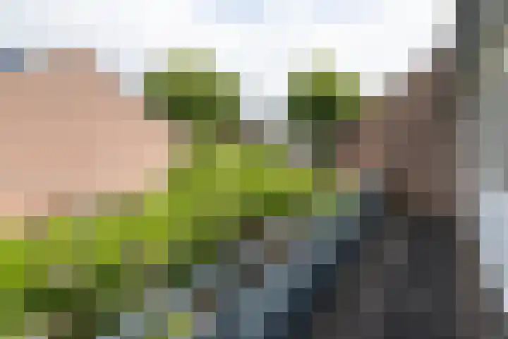 Wildenborg 23 Barneveld thumbnail 25
