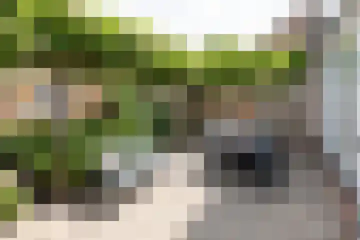 Wildenborg 23 Barneveld thumbnail 36