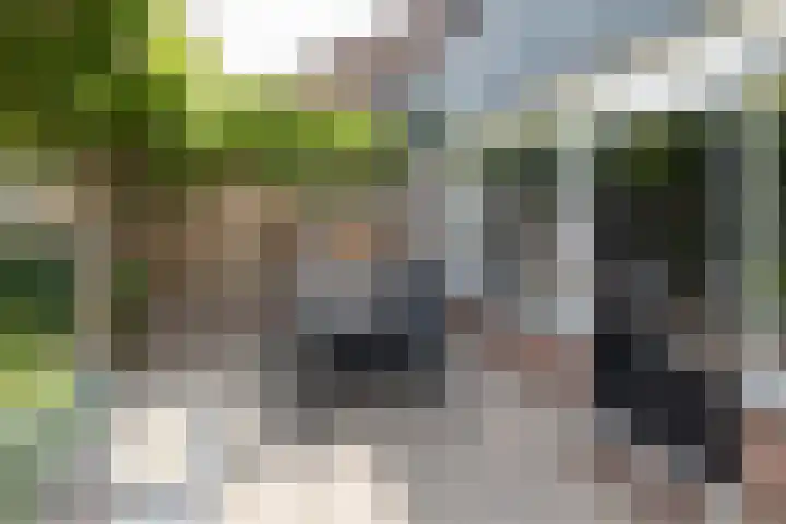 Wildenborg 23 Barneveld thumbnail 39