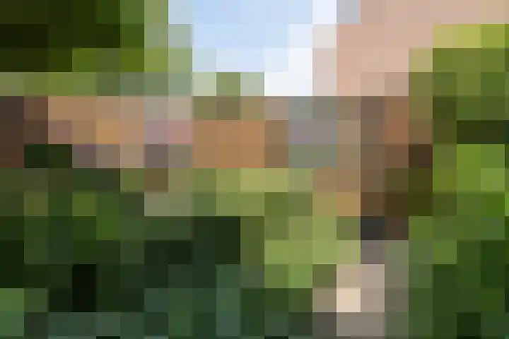 Wildenborg 23 Barneveld thumbnail 40