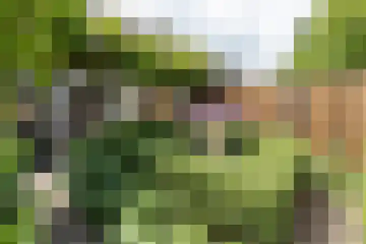 Wildenborg 23 Barneveld thumbnail 41