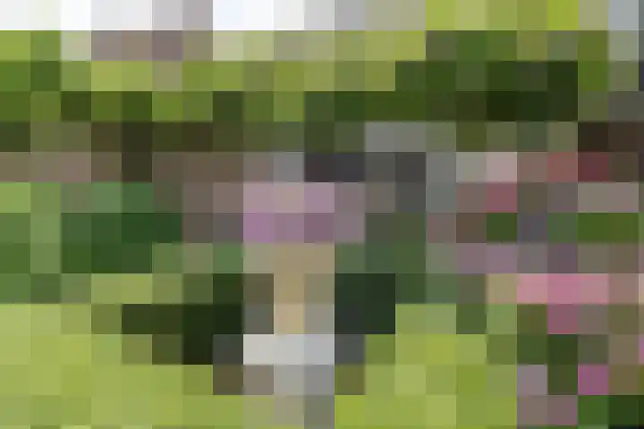 Wildenborg 23 Barneveld thumbnail 42