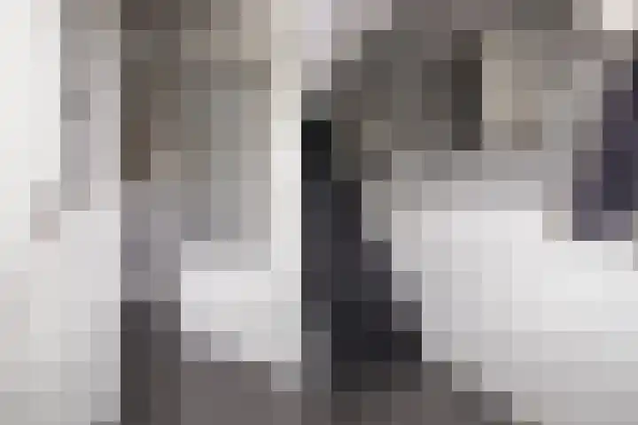 Wildenborg 23 Barneveld thumbnail 5