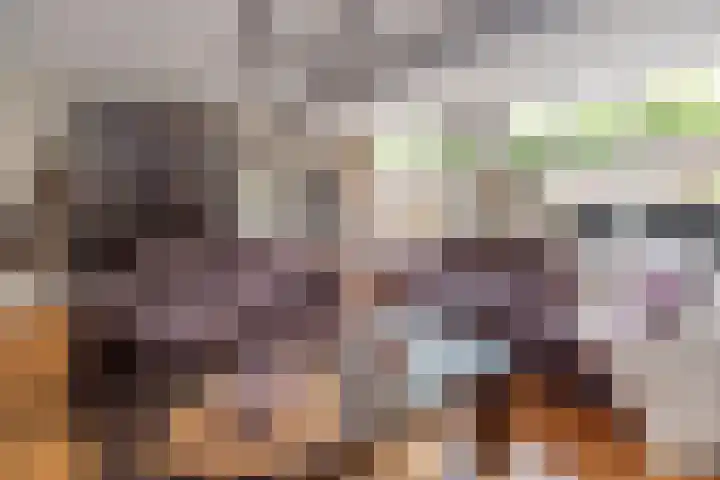 Wildenborg 23 Barneveld thumbnail 7