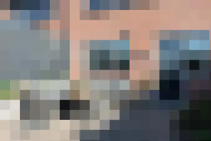 Wildenborg 31 Barneveld thumbnail 10